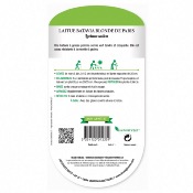 Graines Laitue Batavia Blonde de Paris - Les Doigts Verts