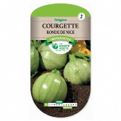 Graines Courgette Ronde de Nice - Les Doigts Verts