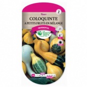 Graines Coloquinte  Petits Fruits en Mlange Les Doigts Verts