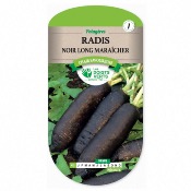 Graines Radis Noir Long Maracher - Les Doigts Verts