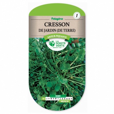 Graines Cresson de Jardin de Terre - Les Doigts Verts