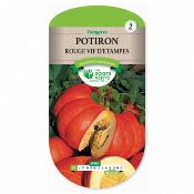 Graines Potiron Rouge Vif dEstampe - Les Doigts Verts