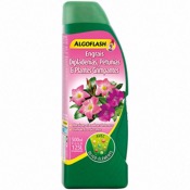 Engrais Dipladnia & Plantes grimpantes 500 ml Algoflash
