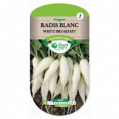 Graines Radis Blanc White Breakfast - Les Doigts Verts