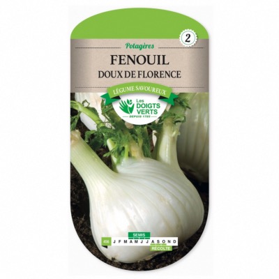 Graines Fenouil Doux de Florence - Les Doigts Verts