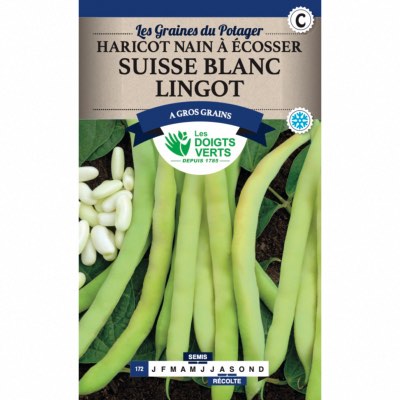 Graines Haricot Nain à Ecosser Suisse Blanc Lingot 250gr - Les Doigts Verts