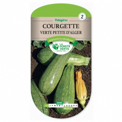 Graines Courgette Verte Petite d’Alger - Les Doigts Verts