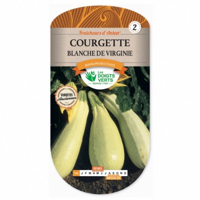 Graines Courgette Blanche de Virginie, Les Doigts Verts