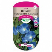 Graines Ipome  Grande Fleur Bleu dAzur - Les Doigts Verts