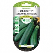 Graines BIO Courgette Verte Noire Maraichre - Les Doigts Verts