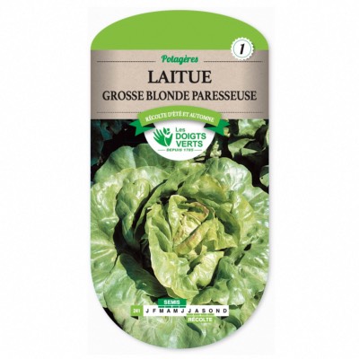 Graines Laitue Grosse Blonde Paresseuse - Les Doigts Verts