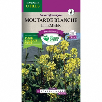 Graines Moutarde Blanche Litember - Les Doigts Verts