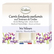 Carrs Fondants Parfums Iris Velours - GALEO