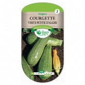 Graines Courgette Verte Petite dAlger - Les Doigts Verts