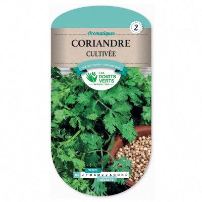 Graines Coriande Cultivée - Les Doigts Verts