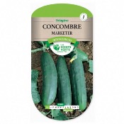 Graines Concombre Marketer - Les Doigts Verts